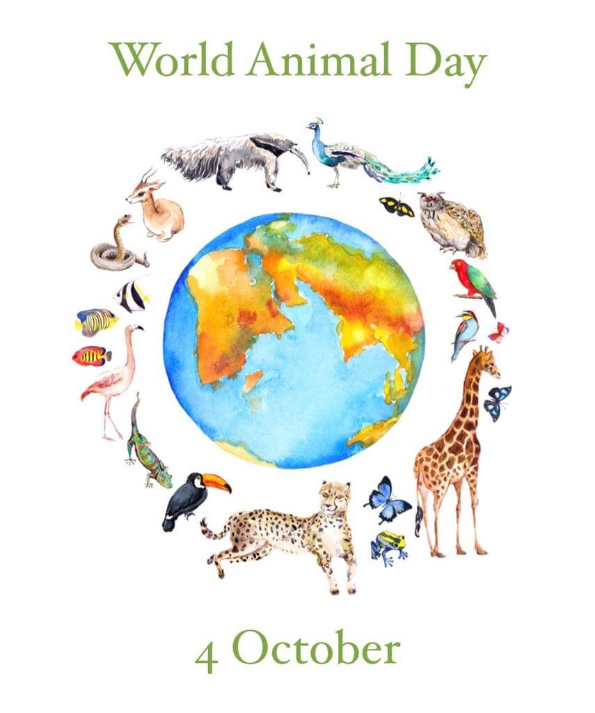 World Animal Day 2020 – Ubuntu Wildlife Trust