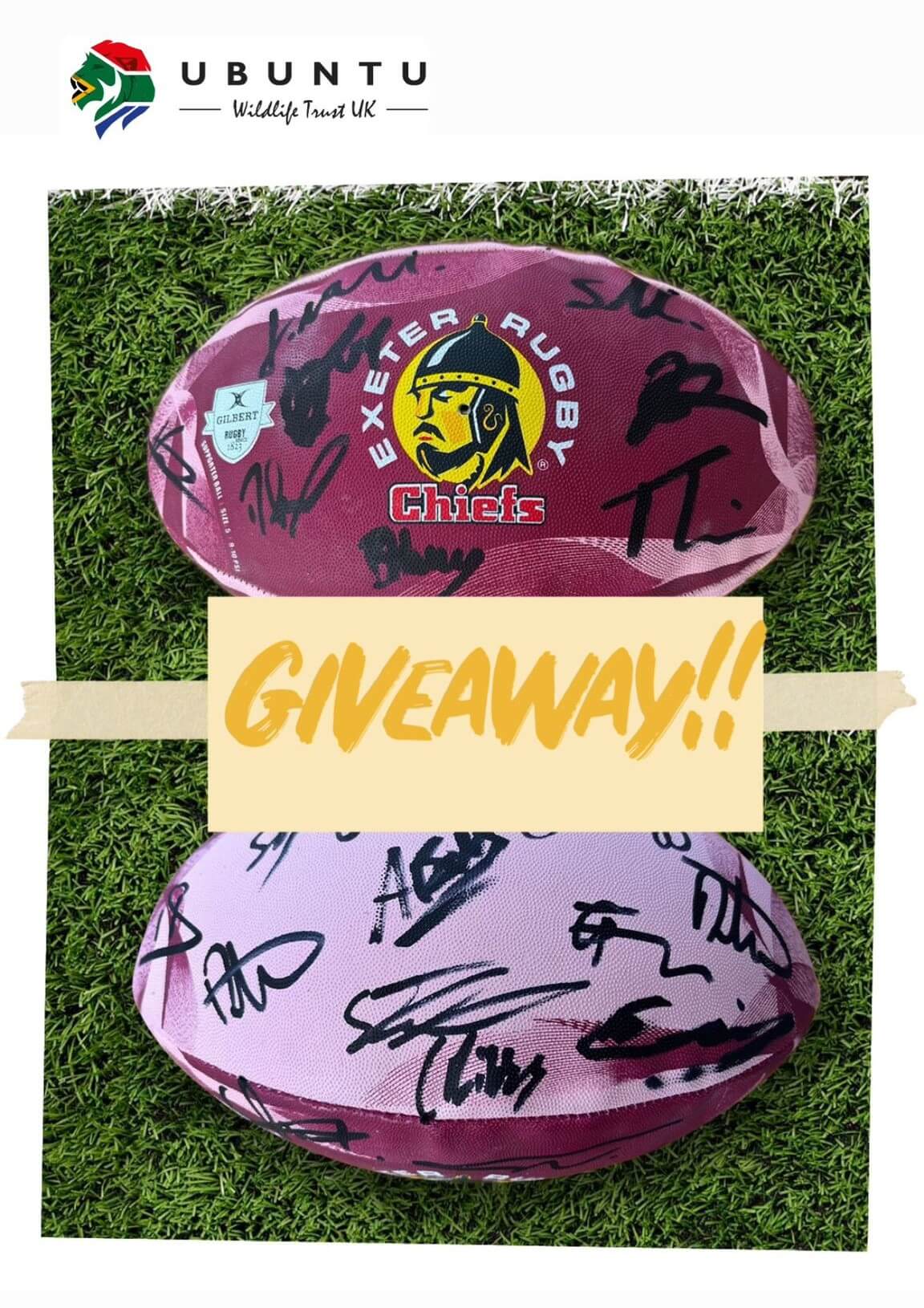 Rugby ball giveaway
